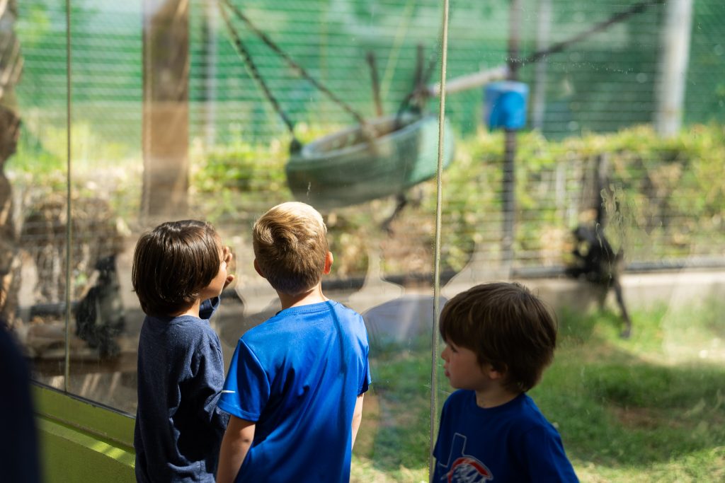 fieldtrips 2026 (3)