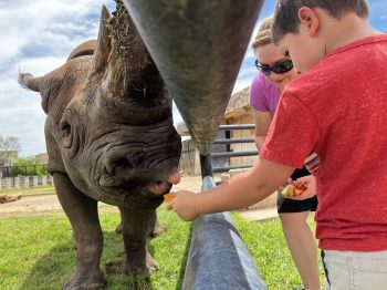 Abilene Zoo Parking