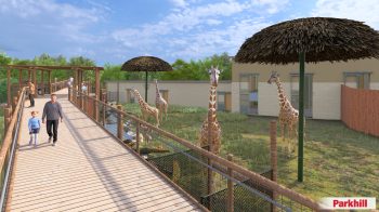 ZOO RENDER GIRAFFE VIEW1 LG