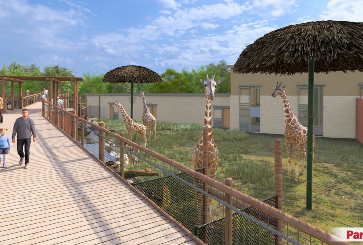 ZOO RENDER GIRAFFE VIEW1 LG